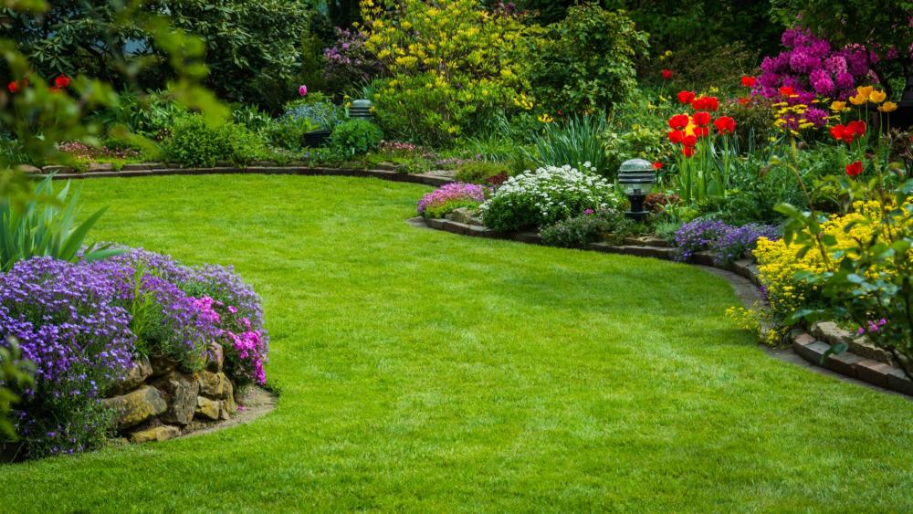 aménagement jardin près de Puy-Guillaume